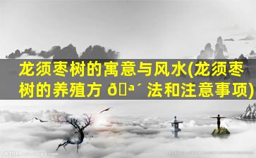 龙须枣树的寓意与风水(龙须枣树的养殖方 🪴 法和注意事项)